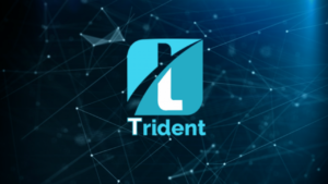 Trident Coin- Diverse crypto portfolio is now easy holding in single coin